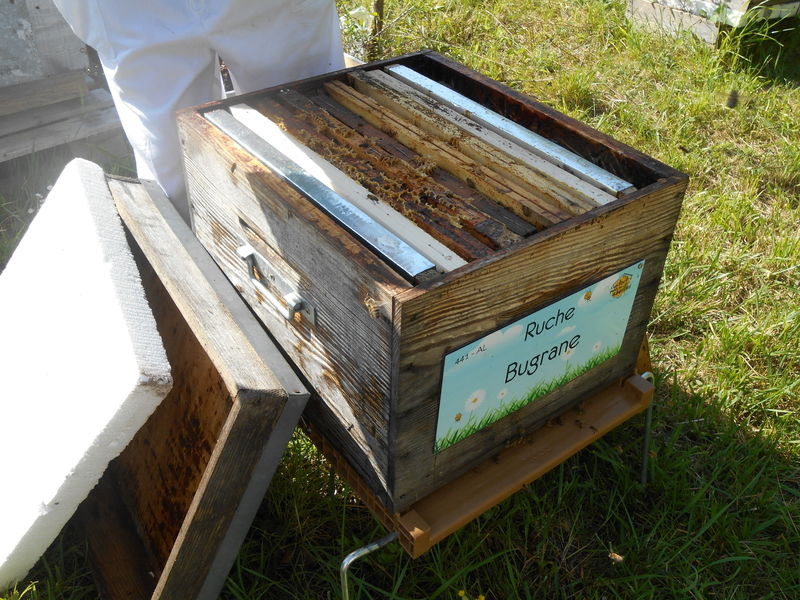 La ruche Bugrane