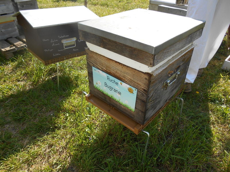 La ruche Bugrane