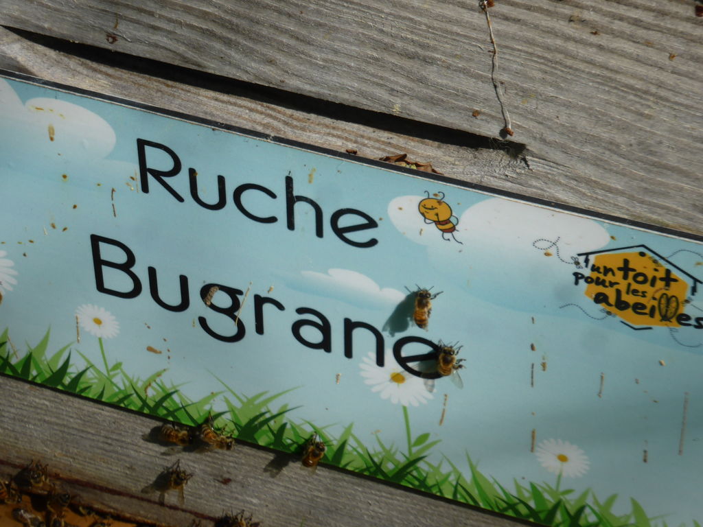 La ruche Bugrane