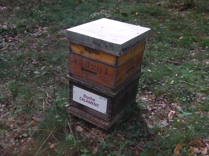 La ruche Calament