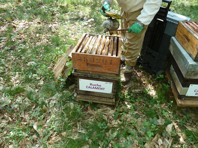 La ruche Calament