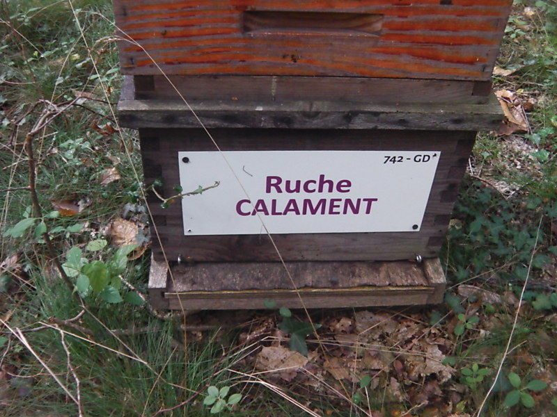 La ruche Calament