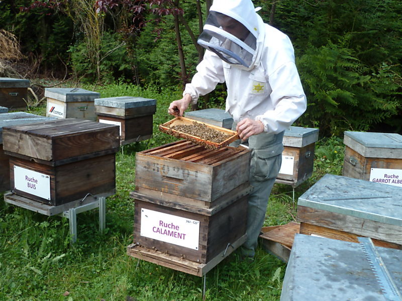 La ruche Calament
