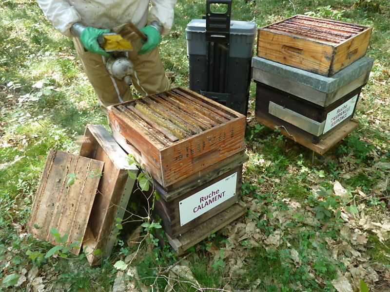 La ruche Calament