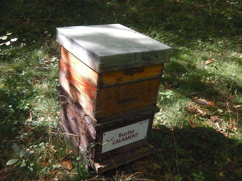 La ruche Calament