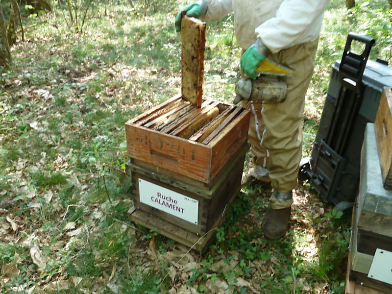 La ruche Calament