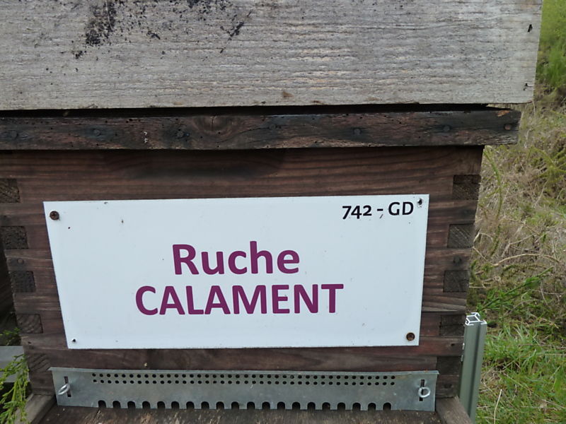 La ruche Calament