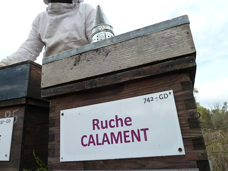 La ruche Calament
