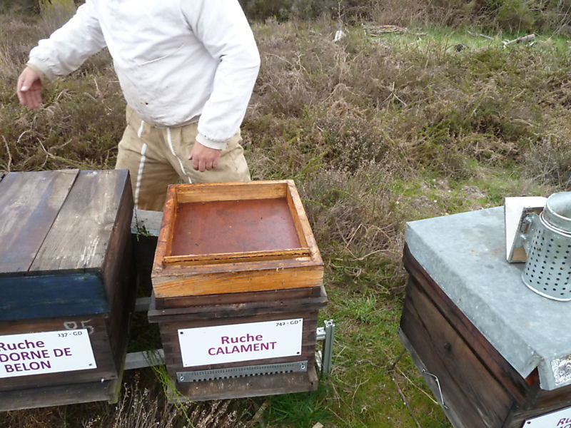 La ruche Calament