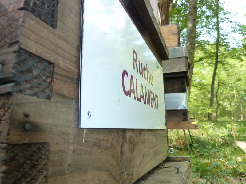 La ruche Calament