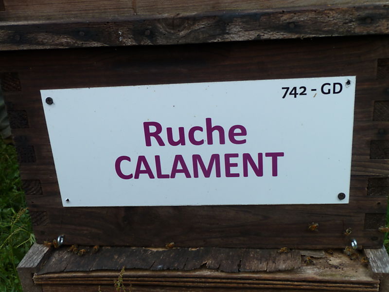 La ruche Calament