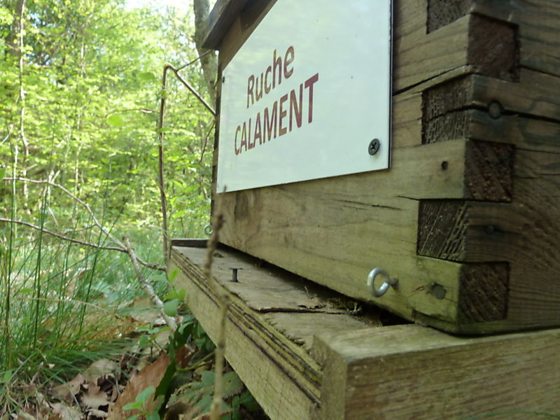 La ruche Calament