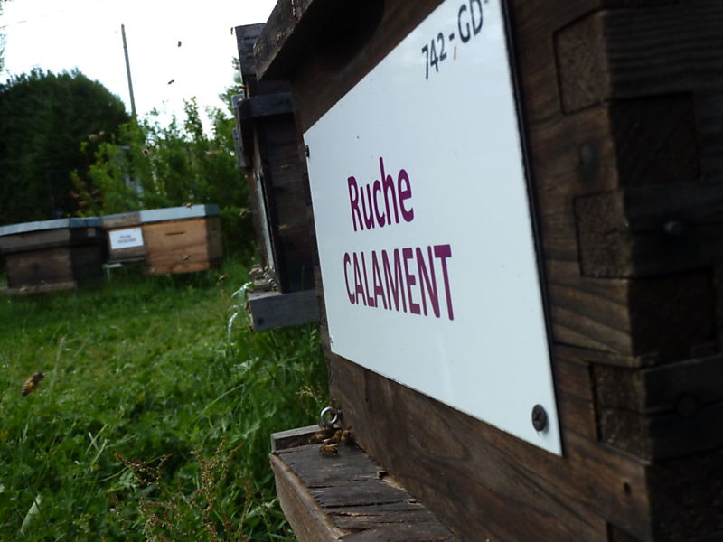La ruche Calament