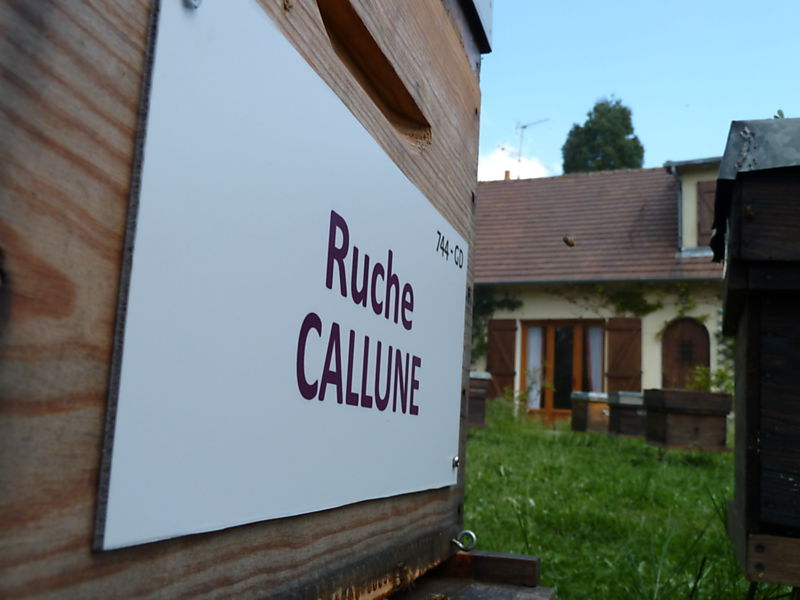 La ruche Callune