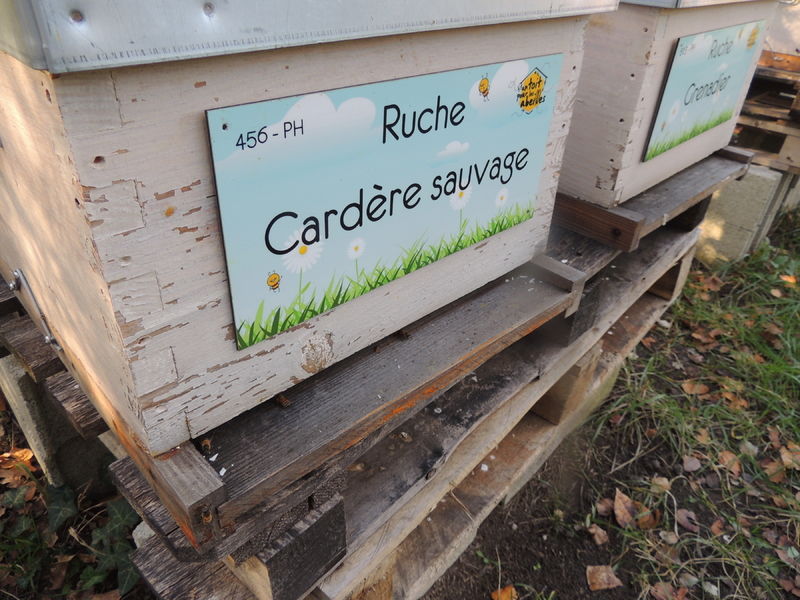 La ruche