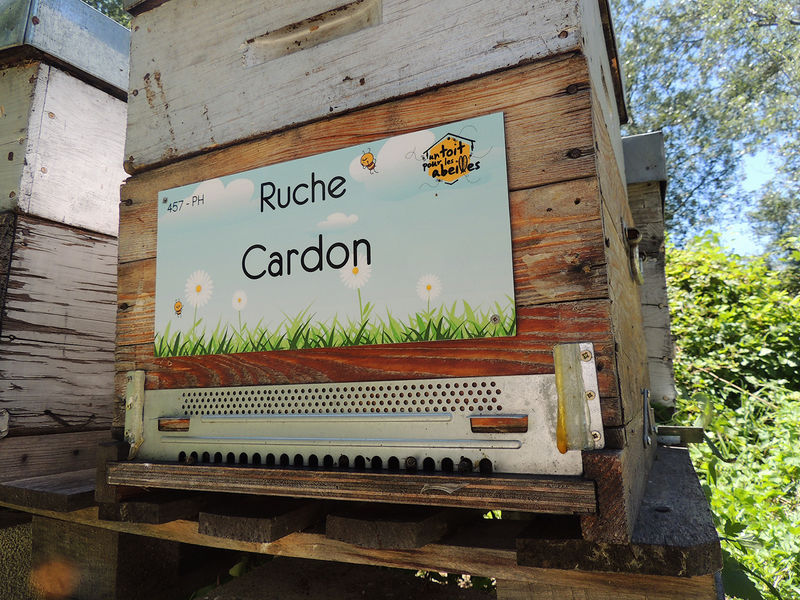 La ruche Cardon