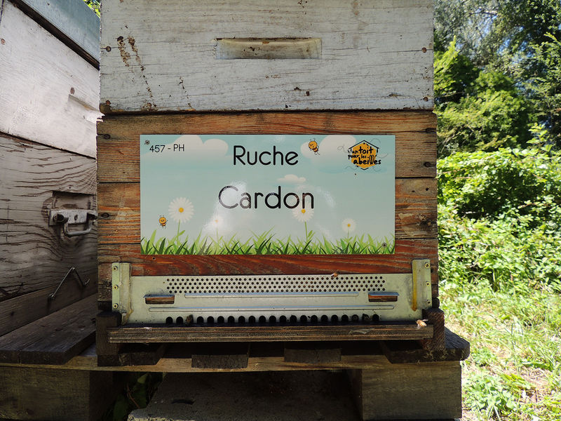 La ruche Cardon