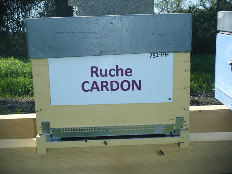 La ruche Cardon