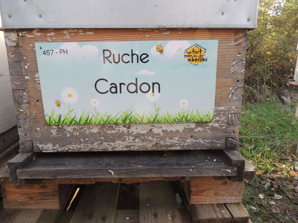 La ruche Cardon