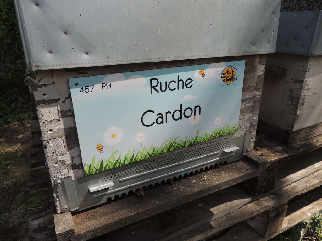 La ruche Cardon