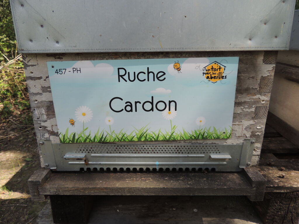 La ruche Cardon