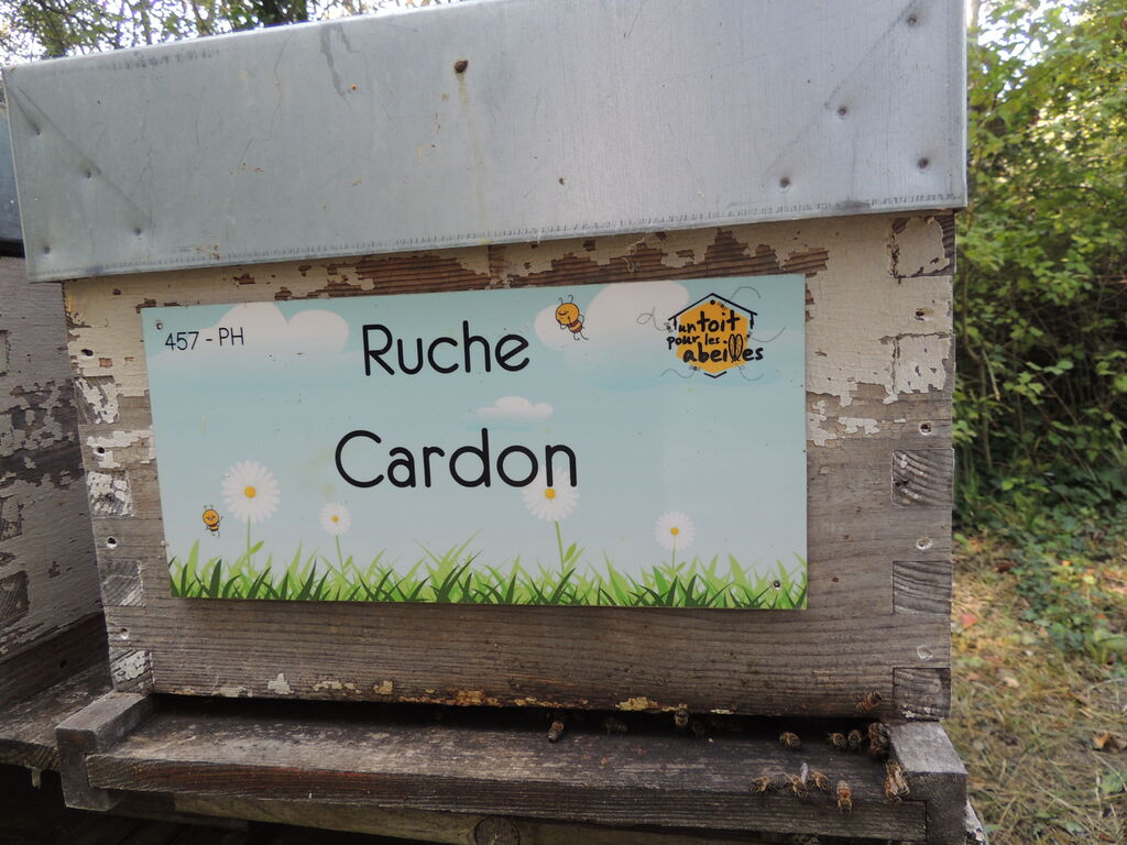 La ruche Cardon