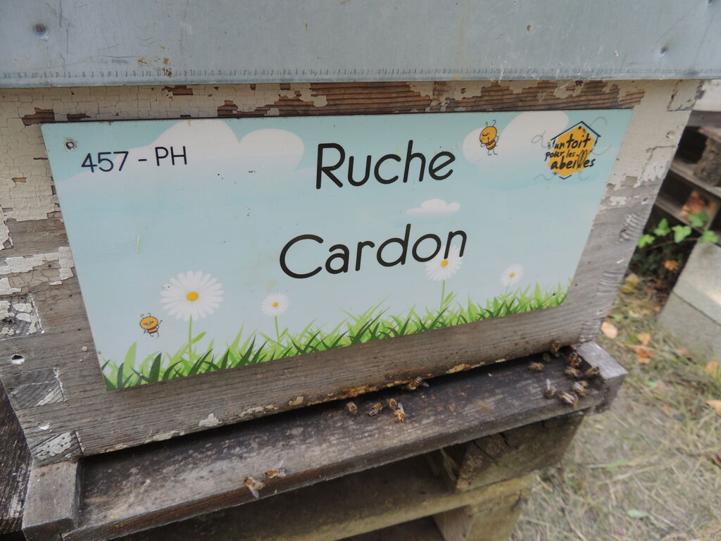 La ruche Cardon