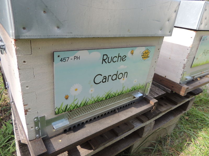 La ruche Cardon