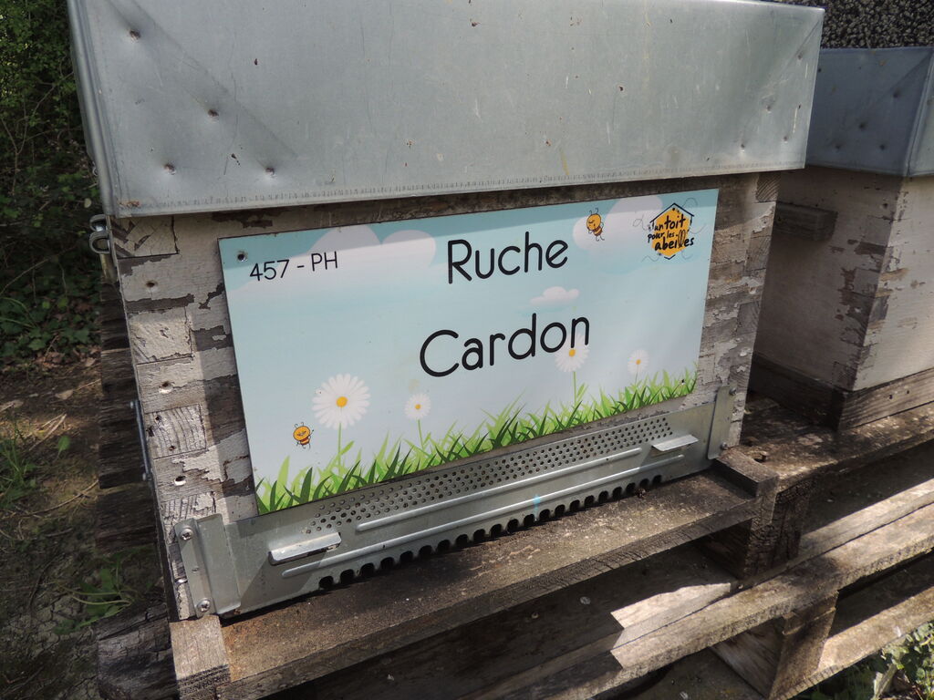 La ruche Cardon