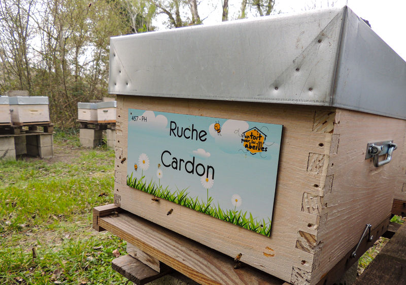 La ruche Cardon