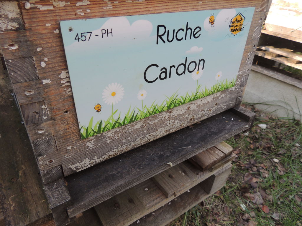 La ruche Cardon