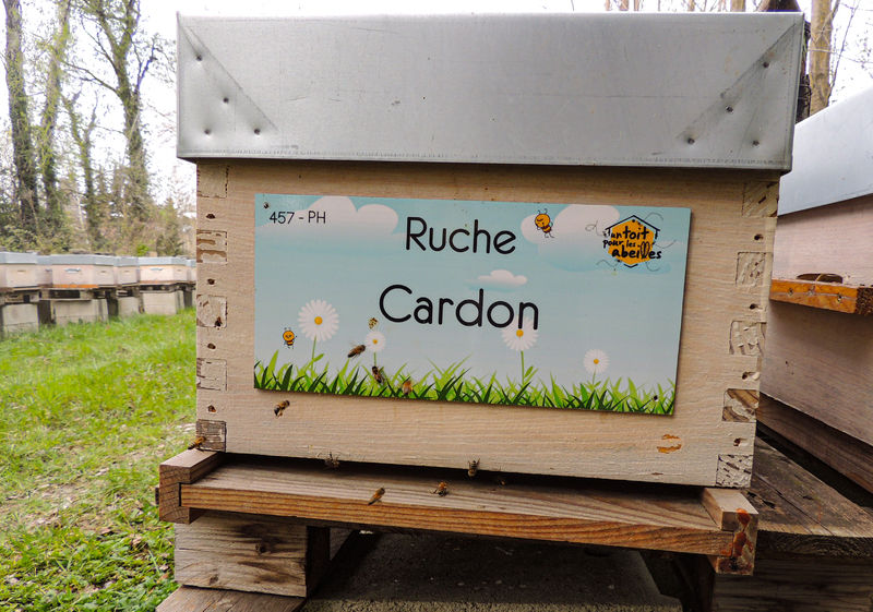 La ruche Cardon