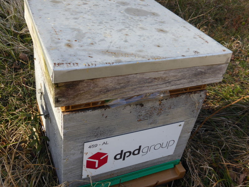 La ruche DPDgroup