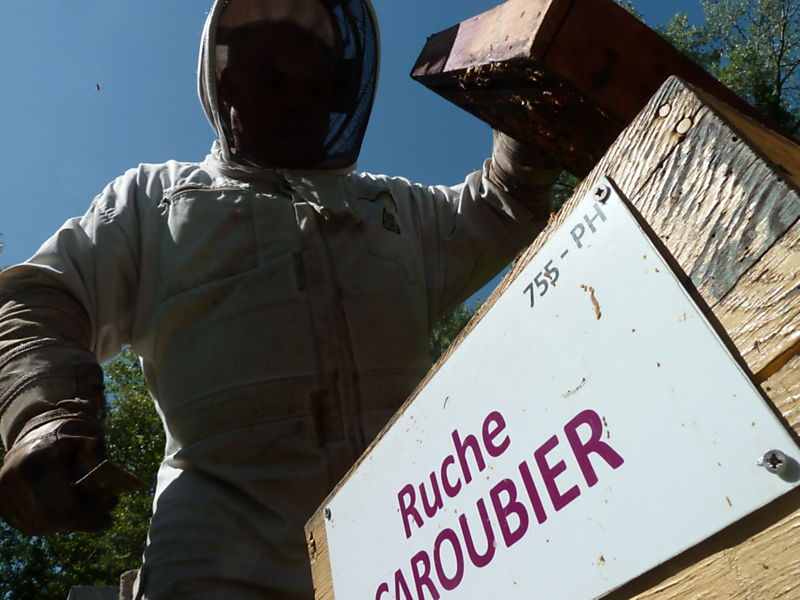 La ruche Caroubier