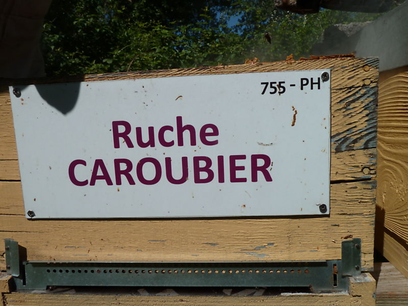 La ruche Caroubier