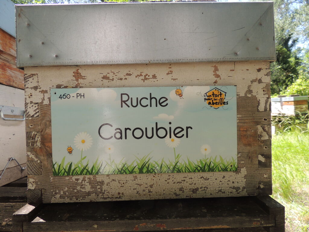 La ruche Caroubier