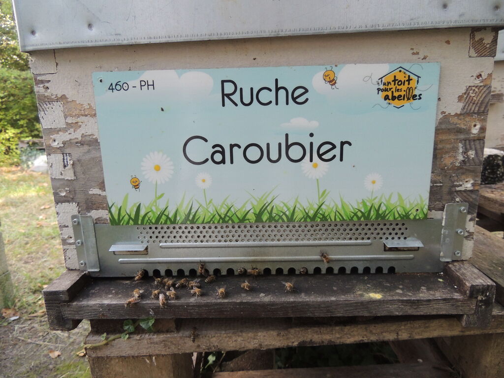 La ruche Caroubier