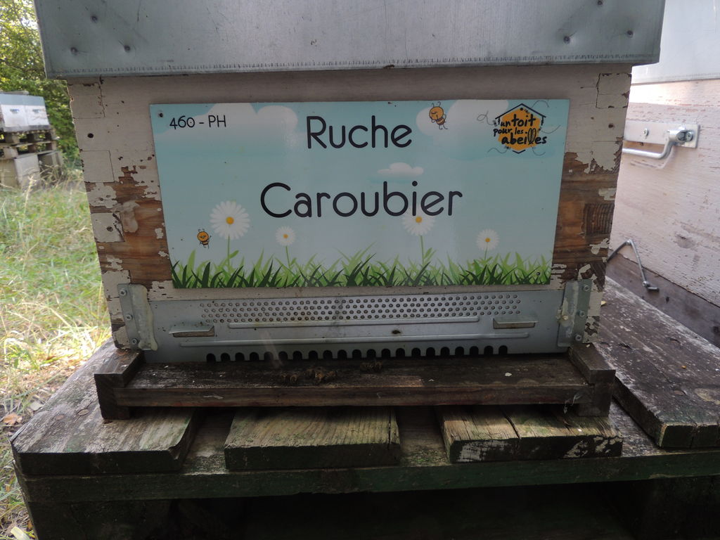 La ruche Caroubier
