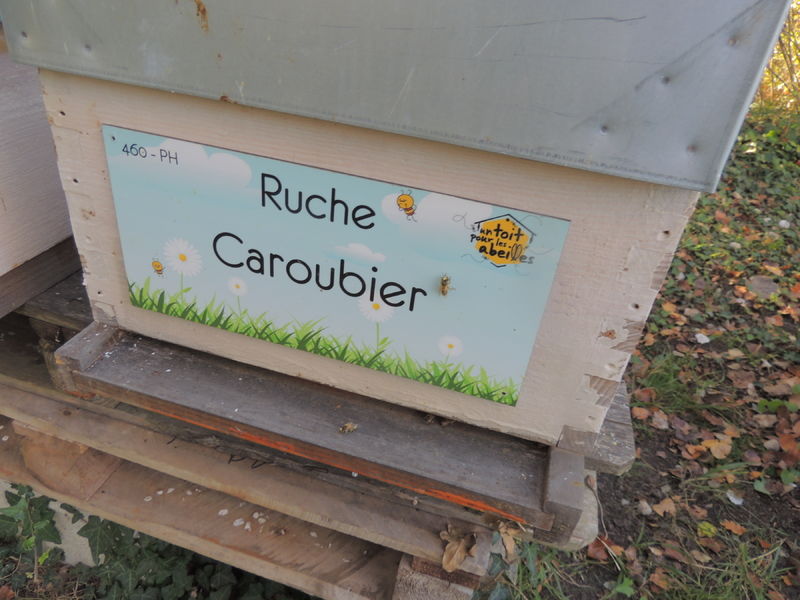 La ruche