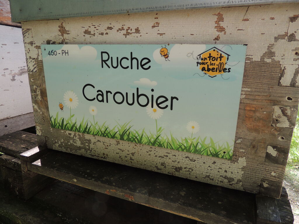 La ruche Caroubier