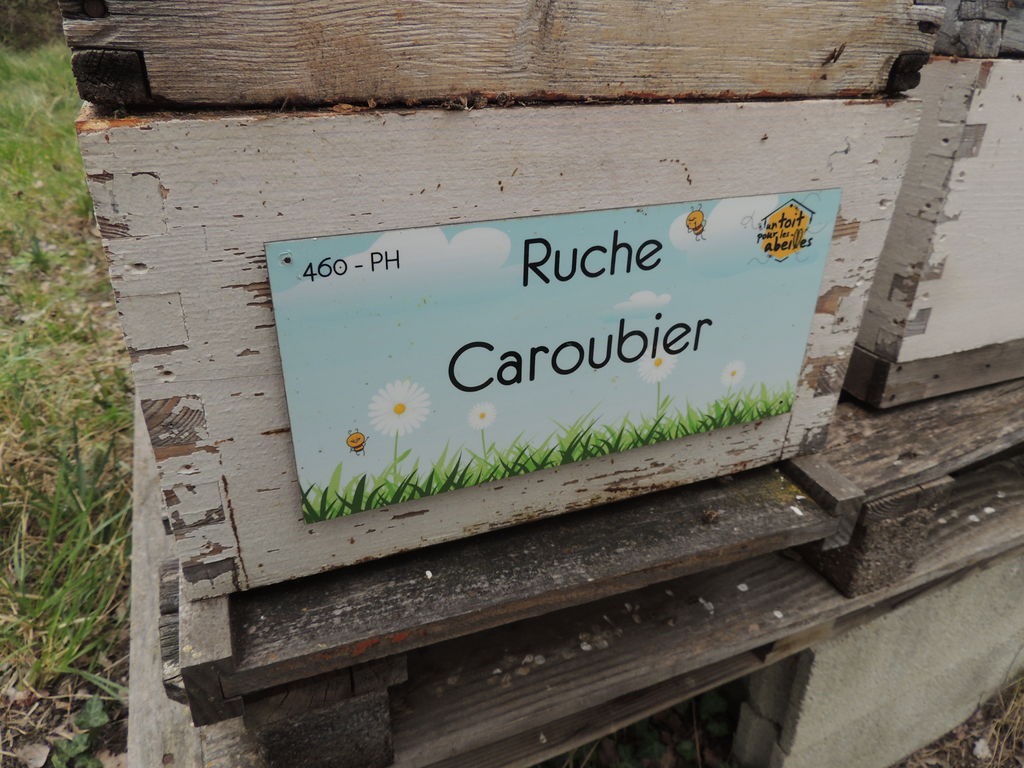 La ruche Caroubier