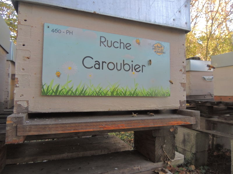 La ruche Caroubier