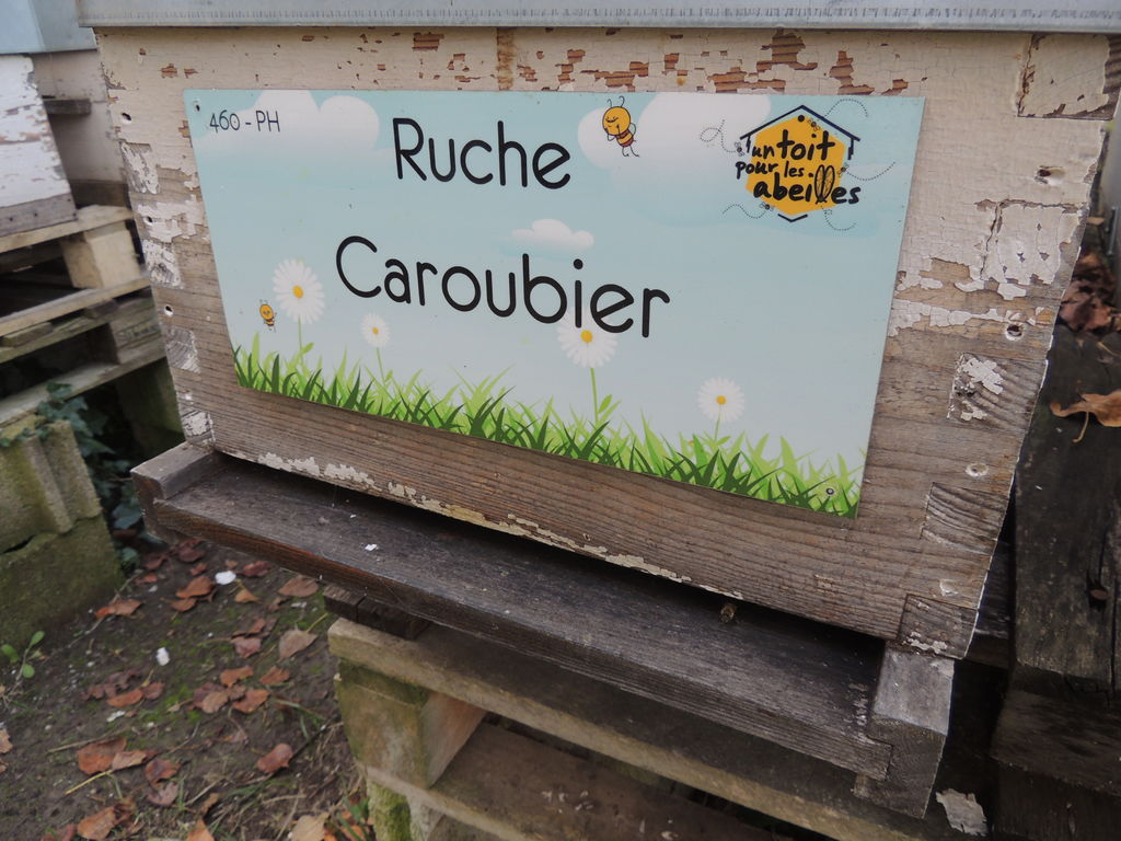La ruche Caroubier