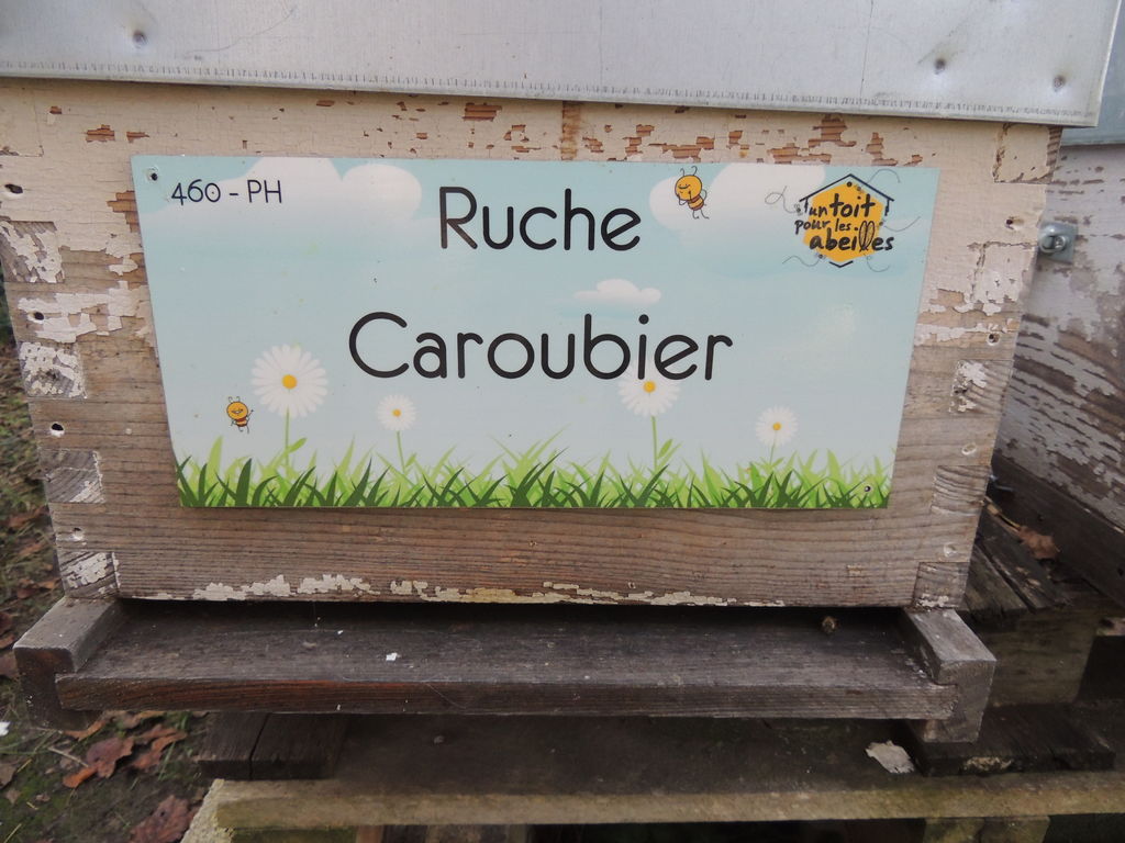 La ruche Caroubier