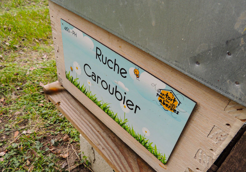 La ruche Caroubier