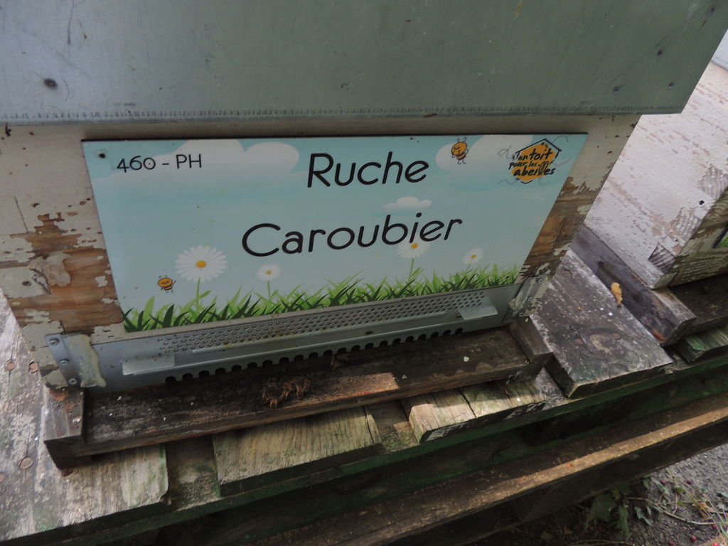 La ruche Caroubier