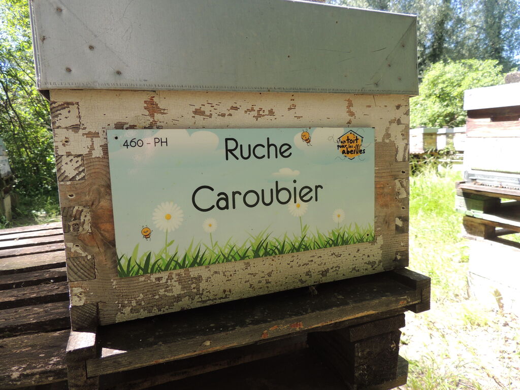 La ruche Caroubier