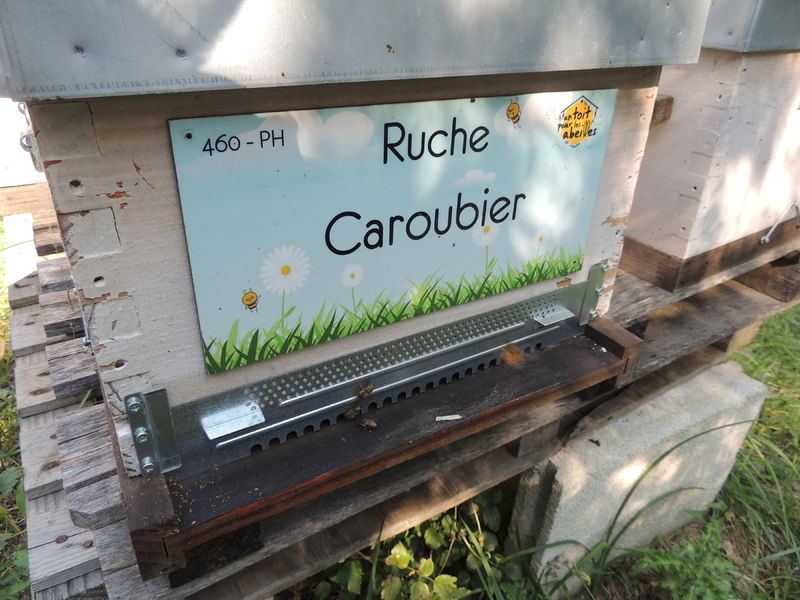 La ruche Caroubier