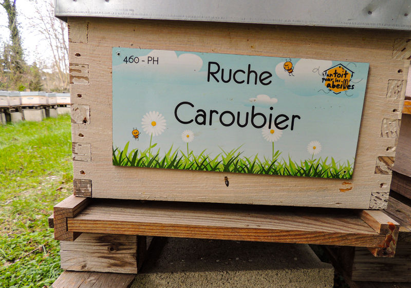 La ruche Caroubier