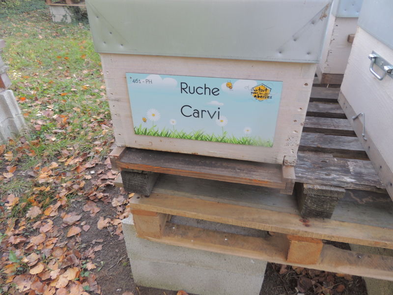 La ruche